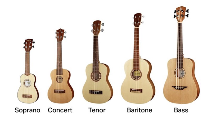 Different types of ukuele next to each other (soprano ukulele, concert ukulele, tenor ukulele, baritone ukulele and bass ukulele)